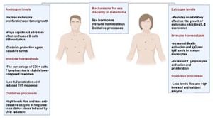 Sex-Based Survival Disparities Examined In Urothelial Cancer