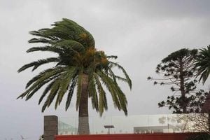 Canary Islands Declares Pre-Alert For Severe Wind Warning