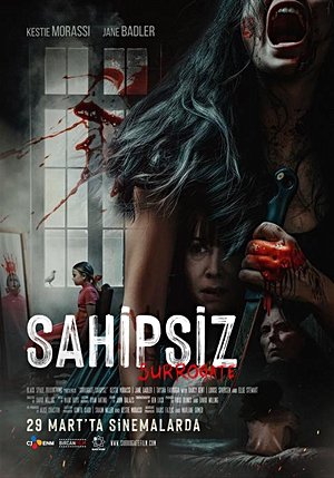 Sahipsiz
