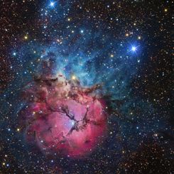 A Beautiful Trifid