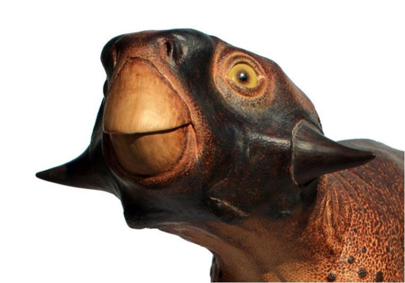 Papağan kertenkele olarak bilinen dinozor: Psittacosaurus