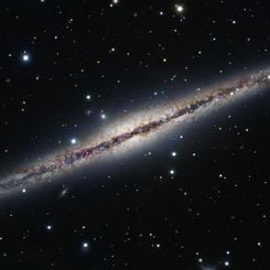 At the Edge of NGC 891