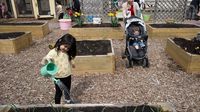 See photos from City Green's Earth Day festival held at Clifton center