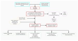 New Anoikis-Related Prognostic Signature Enhances Stomach Cancer Treatment Insights