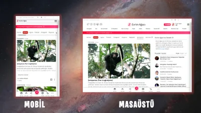 İleri Web Uygulamaları: Elveda "Evrim Ağacı Mobil App", Merhaba "Evrim Ağacı Progressive Web App"!