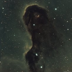  The Dust Monster in IC 1396 