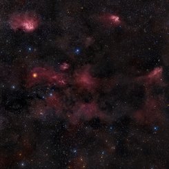 Cepheus: Trunk to Bubble