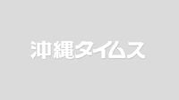 愛媛県の山林火災で２１９世帯に避難指示　 | 共同通信　フラッシュニュース | 沖縄タイムス＋プラス