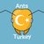 Ants Turkey