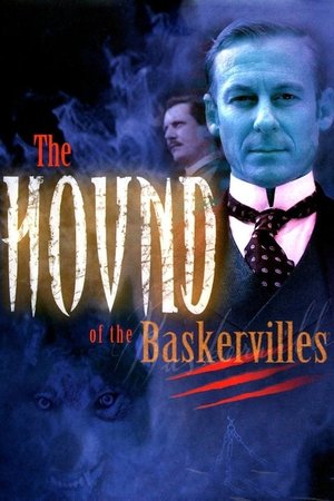 Baskerville'lerin Köpeği