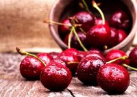 Uzbekistan Launches Large-Scale Cherry Exports as Season Opens with Strong Demand • EastFruit
