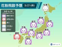 昨日よりも“極めて多い”予想のエリアが拡大　花粉対策が急務