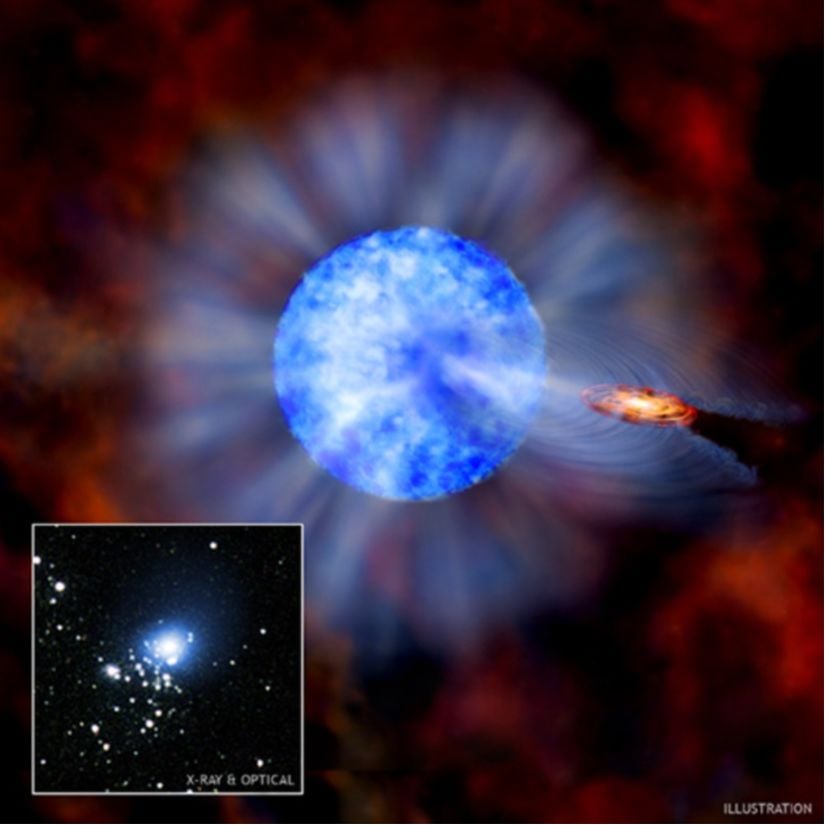 M33 X-7 kara deliği illüstrasyonu.