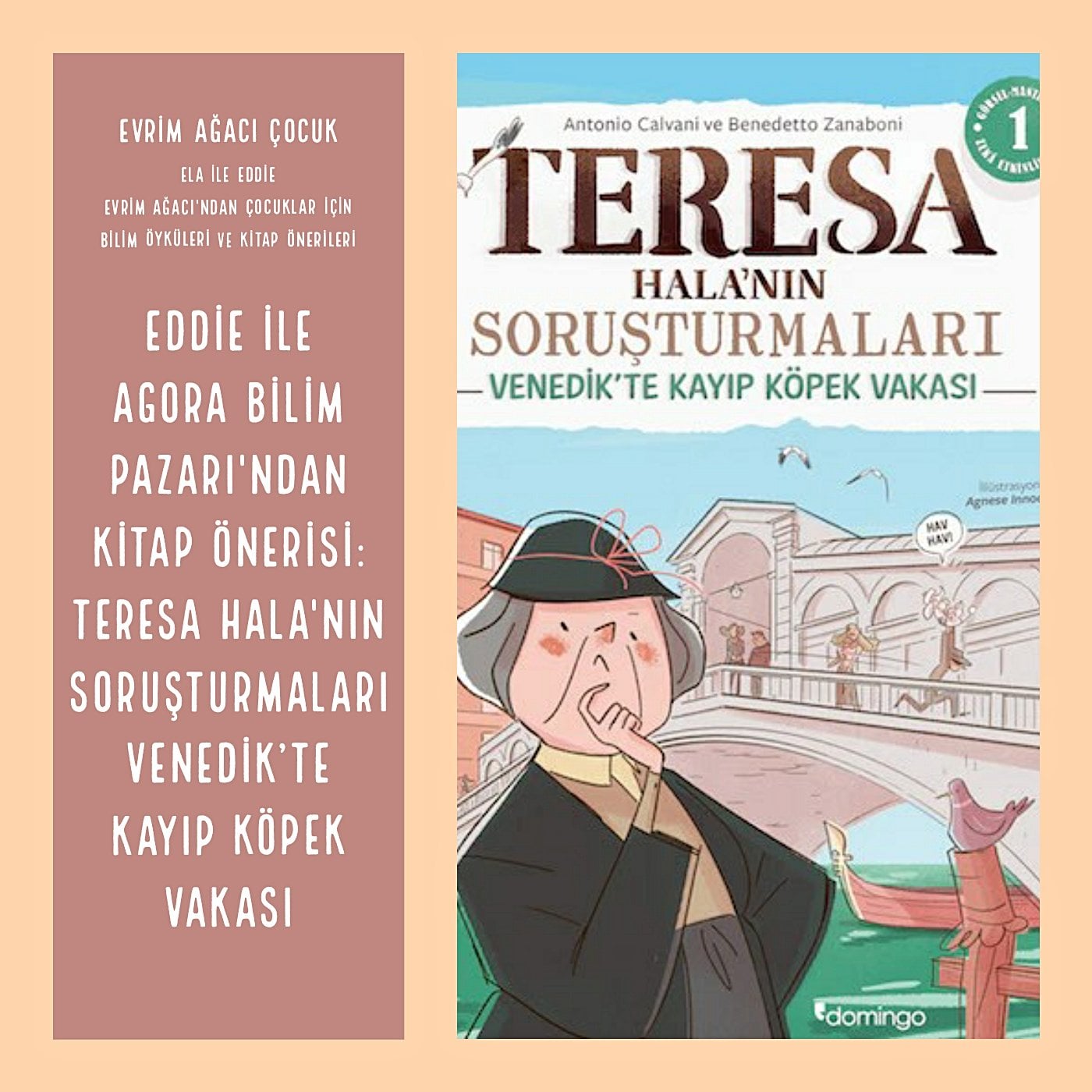 Eddie ile Agora Bilim Pazarı'ndan Kitap Önerisi: Teresa Hala'nın Soruşturmaları!