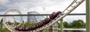 Travis Kelce Invests In Six Flags Amid Theme Park Shakeup