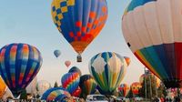 Horror in Sussex as man falls to his death from hot air balloon — body discovered four hours later.