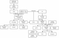 Exploring mitochondrial and ferroptotic mechanisms for systemic lupus erythematosus biomarker identification and therapy - Scientific Reports