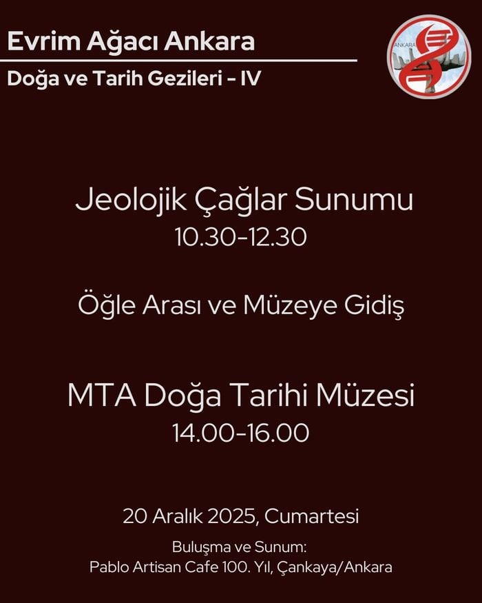 Jeolojik Çağlar Sunumu ve MTA Doğa Tarihi Müzesi Gezisi