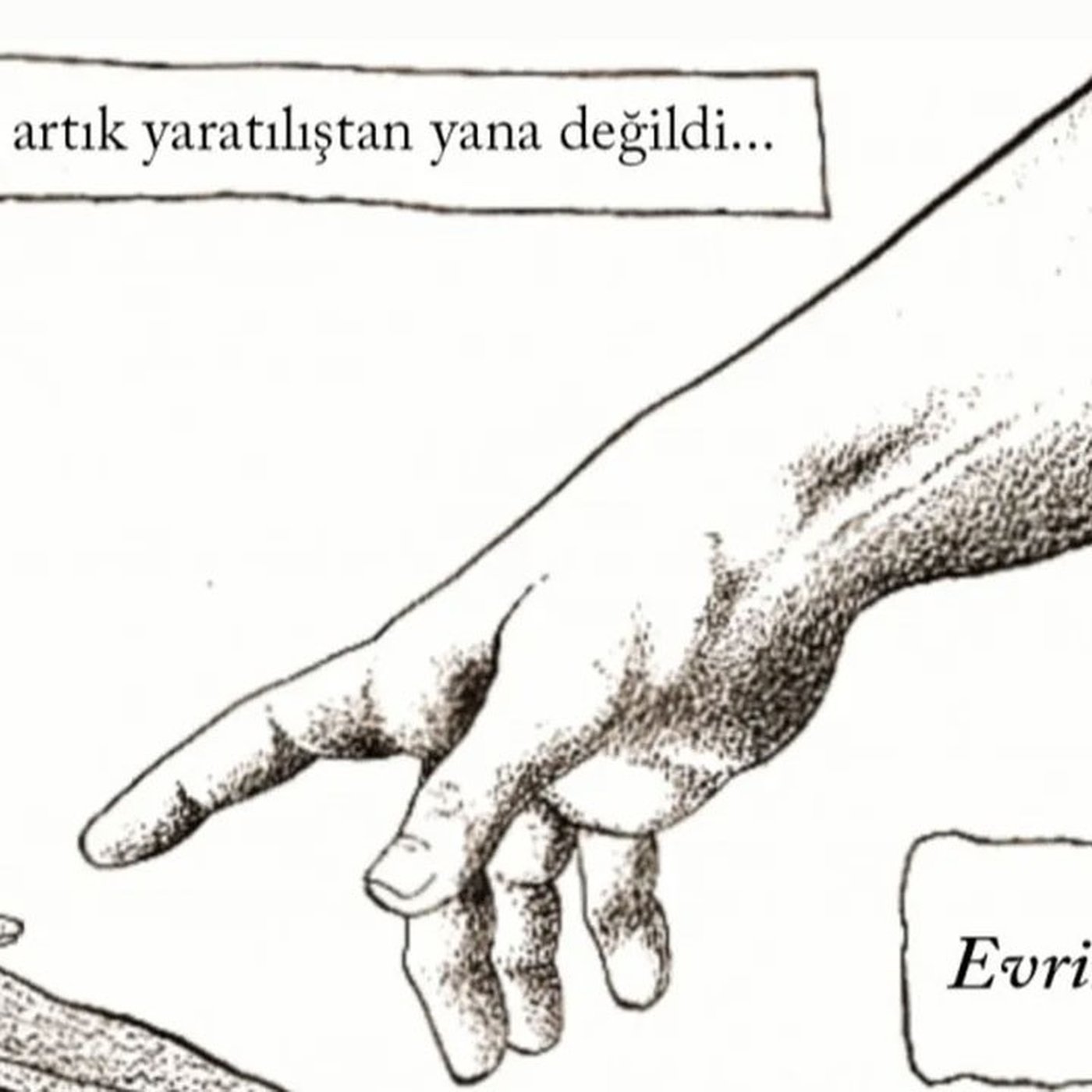 Evrim Ağacı ile Bilime Dair Her Şey!