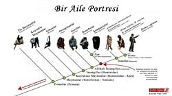 İnsansıların Evrimi: Hominoidea, Hominidae, Homininae, Hominini, Hominina ve Homo (sapiens)