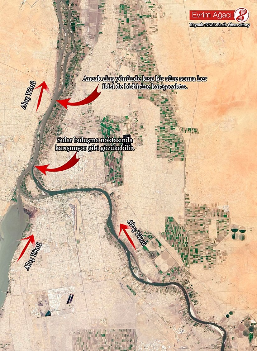 Her su birikintisi birbiriyle karışmak zorundadır; hiçbiri birbirinden ayrılmış değildir.