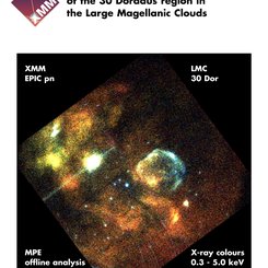 XMM-Newton İlk Işık: LMC'den X-Işınları