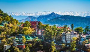 Shimla Strikes Gold With Tourism Boost And Fresh Air