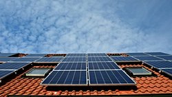 Güneş Enerjisinde Biyomimikri Örnekleri