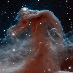 The Horsehead Nebula in Infrared from Hubble