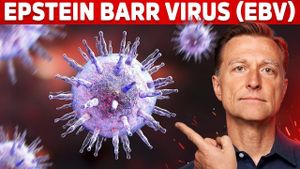 New Study Links Epstein-Barr Virus To Bladder Cancer Risk