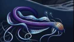 Sifonoforlar (Siphonophorae) Nedir?