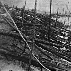 Tunguska: The Largest Recent Impact Event