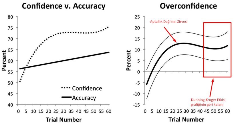 Bu araştırmada sağ tarafta çizilen aşırı özgüven eğrisi, Aptallık Dağı'nın tamamını yansıtmaktadır. Sağ taraftaki kutuyla gösterilen kısımsa, az önce (sarı renkli grafikte) elde ettiğimiz üzere, popülerleştirilmiş Dunning-Kruger Etkisi grafiğinin geri kalanına bağlanmaktadır.