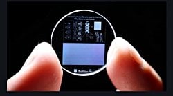 İnsan Genomu,İnsanlığın Yok Olma İhtimaline Karşı Milyarlarca Yıl Saklanacak!