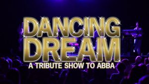 ABBA Fever Lives On With Tribute Shows And Quirky Fans