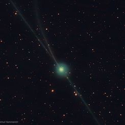  Almost Three Tails for Comet Encke 