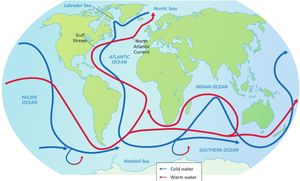 Climate Change Alters Ocean Currents And Marine Life