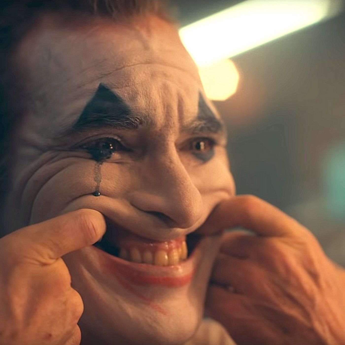 Evrim Ağacı ile Bilime Dair Her Şey!