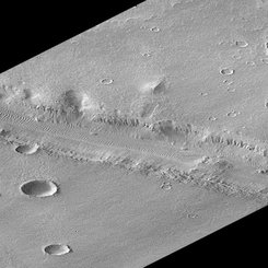 Mars'ta Surveyor