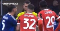 Walker tried to rescue opponent Dele Alli from red card