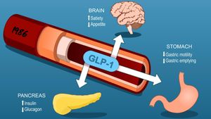 GLP-1 Weight Loss Drugs Linked To Blindness Risks