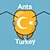 Ants Turkey