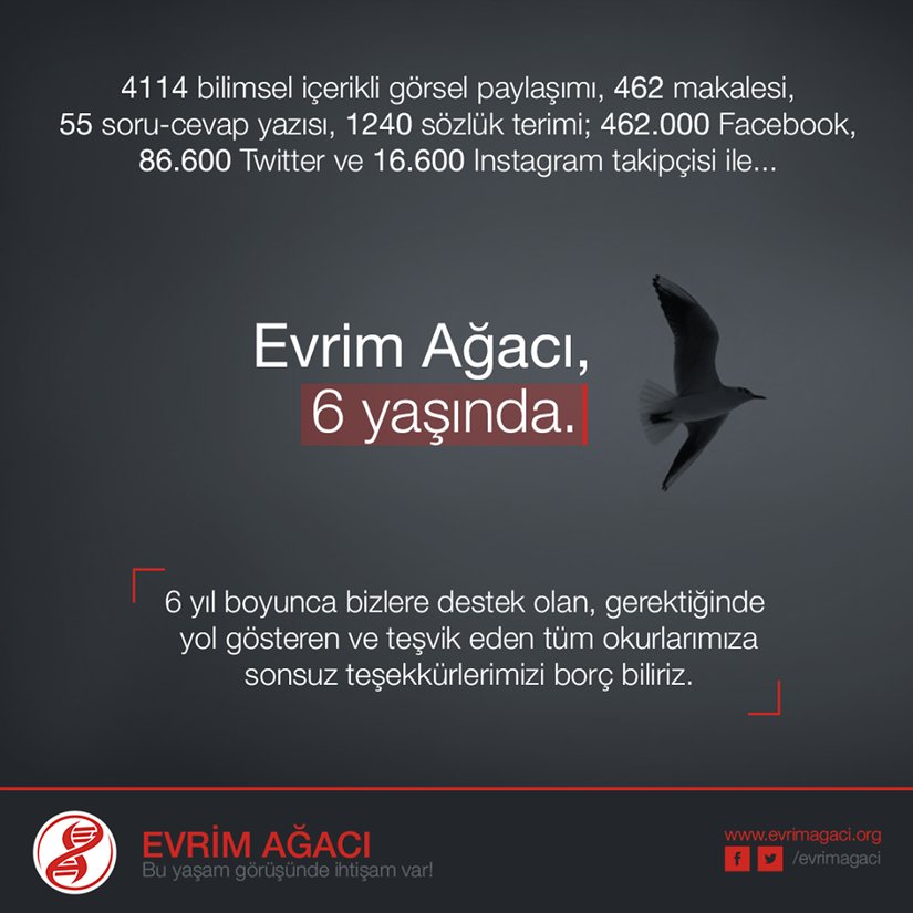 5 Kasım 2016'da Evrim Ağacı 6 yaşını doldurdu.