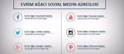 Evrim Ağacı'ndan İnternet Açılımı: Instagram ve Pinterest Hesaplarımız Açıldı!