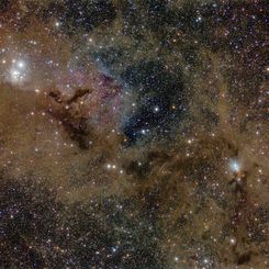  Stardust in Perseus 