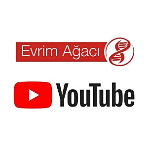 Bilim Ağacı