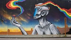 Təkamül (Qanunu), Təkamül Nəzəriyyəsi və Təkamül Biologiyası Arasındakı Fərqlər Nələrdir?