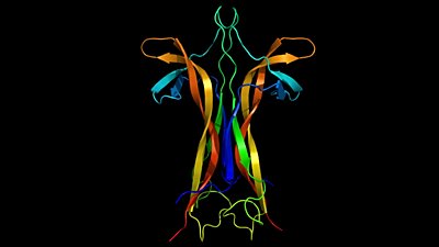 Nörotrofin: Sinirbilimin Temelinde Yer Alan Bir Protein Ailesi!