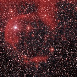 Alpha Cam: Runaway Star