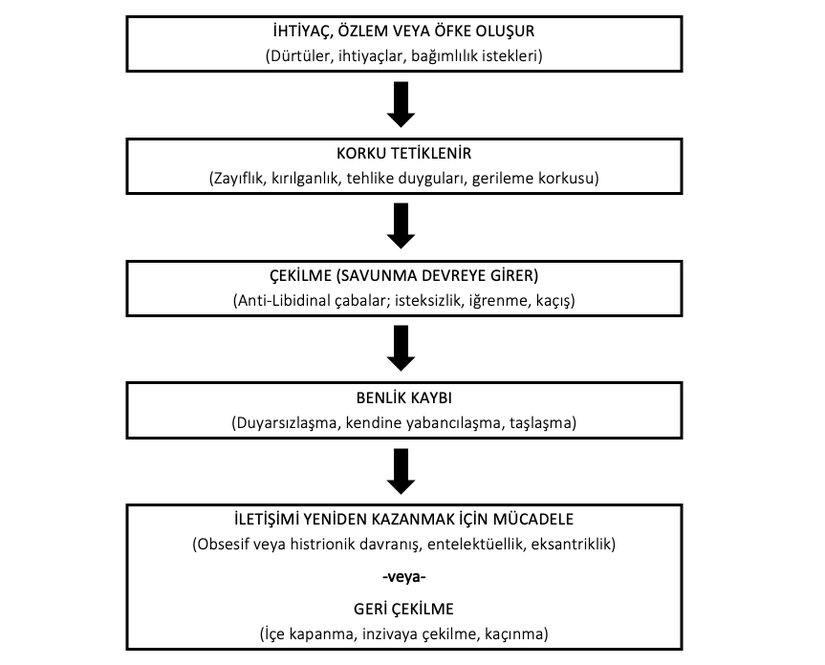 Şizoid Geri Çekilme Süreci